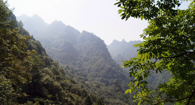 金秋登金頂，問(wèn)道武當(dāng)山