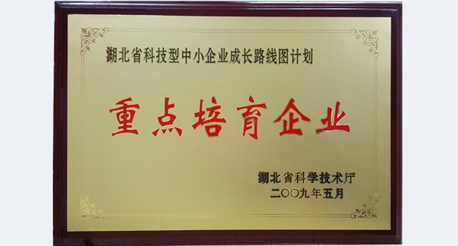 武漢源啟榮獲CMMI3證書 企業(yè)能力、項(xiàng)目管理水平再上新臺階